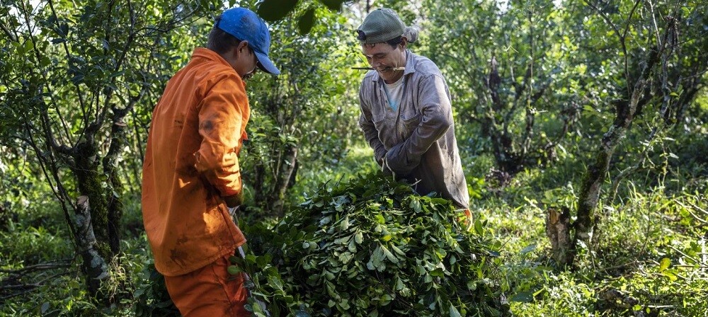 IMG-20251207-WA0026.jpg IMG-20251207-WA0026.jpg