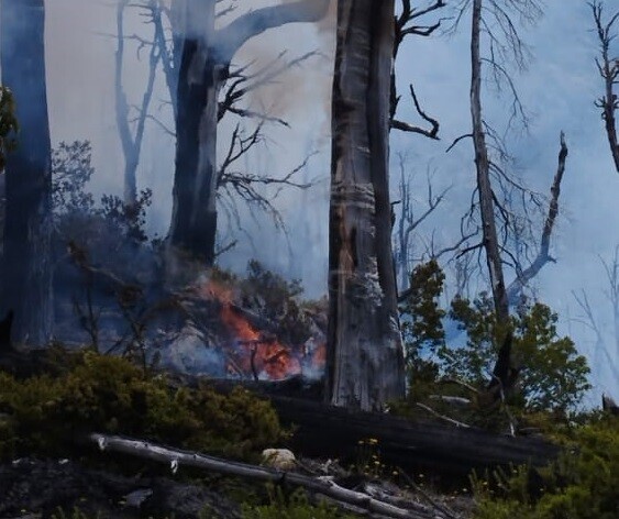 Con ataques directos en distintos puntos, inició una nueva jornada para controlar el incendio forestal en El Turbio