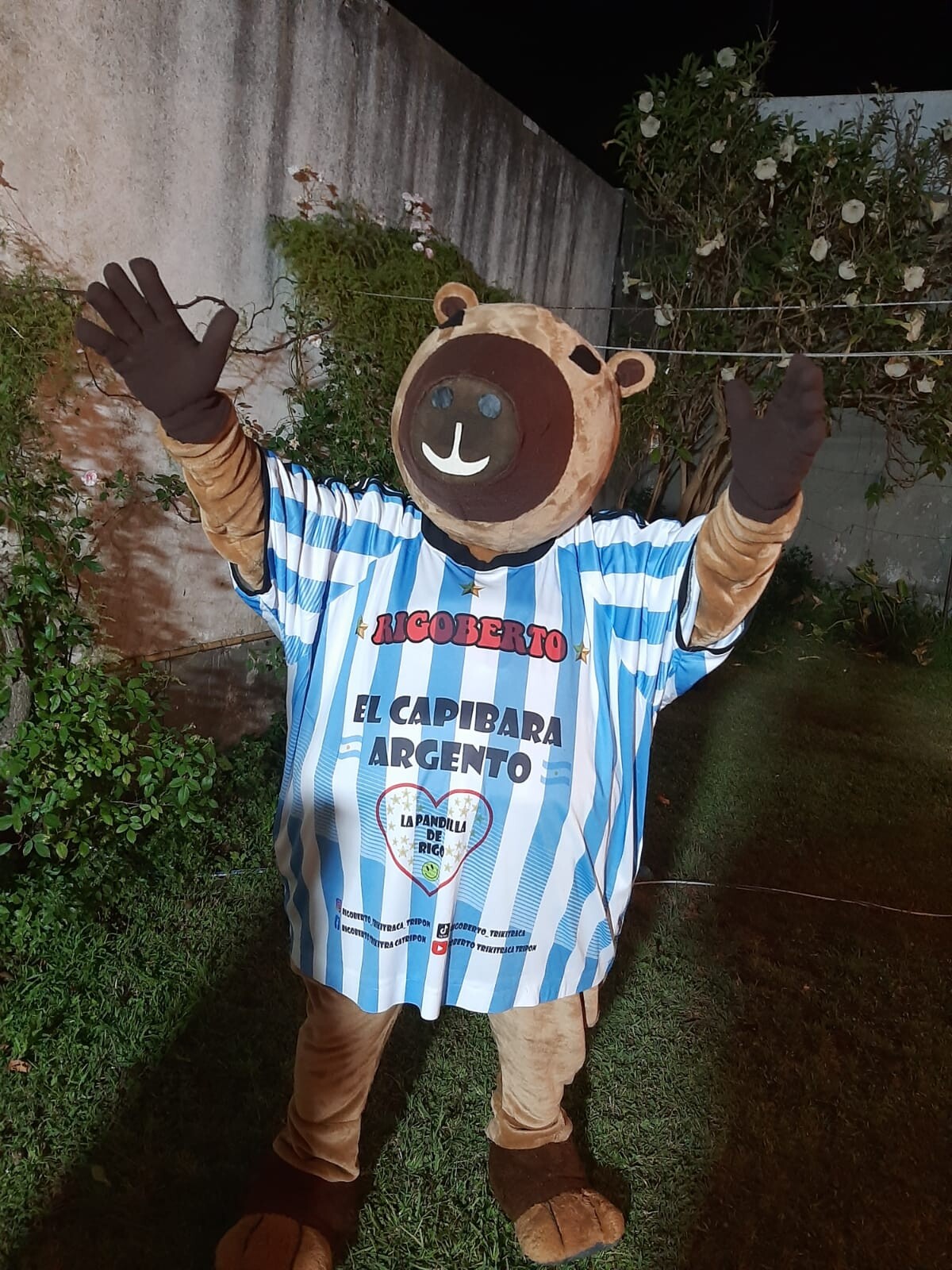 IMG-20260126-WA0087.jpg IMG-20260126-WA0087.jpg