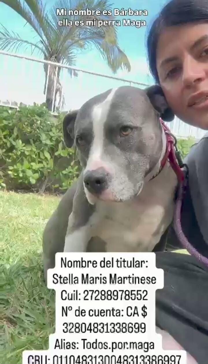 IMG-20260131-WA0051.jpg IMG-20260131-WA0051.jpg