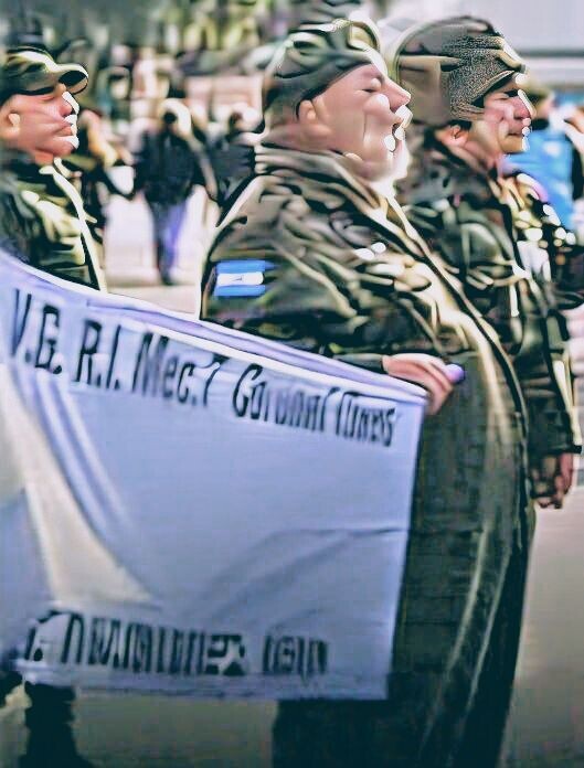 IMG-20260323-WA0037.jpg Veteranos del TOAS buscan reconocimiento en el Congreso