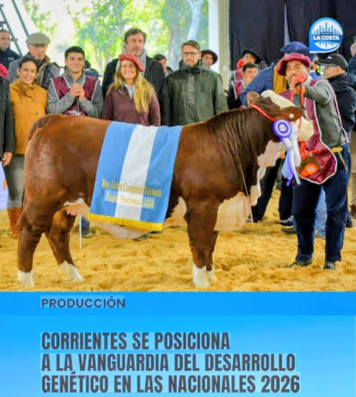 RESULTADOS DE LOS REMATES DE COLOMBO Y MAGLIANO REALIZADOS EN LAS NACIONALES 2026  EN LA SOCIEDAD RURAL DE CORRIENTES