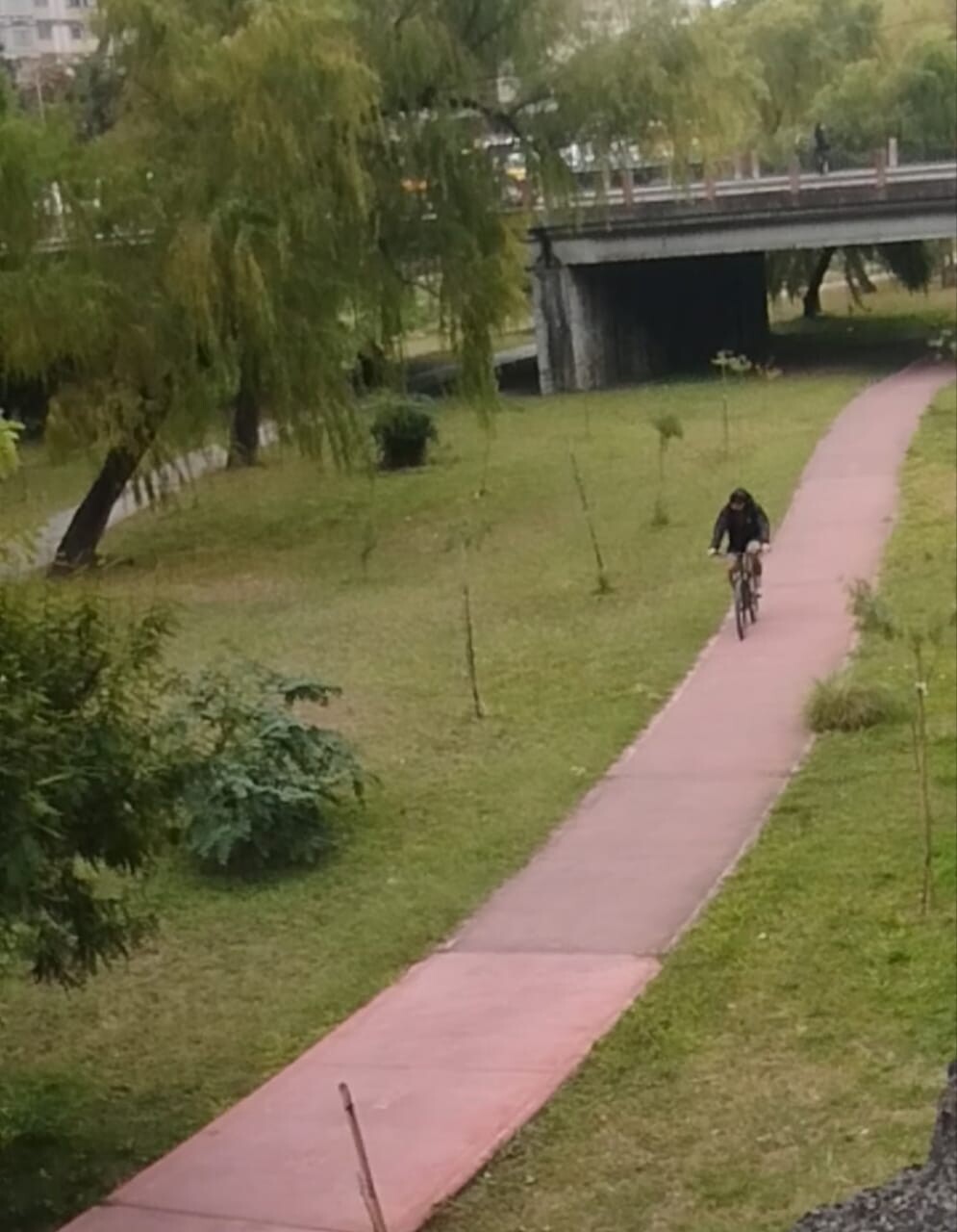 El Parque Lineal es un claro ejemplo de la Transformación de Jujuy