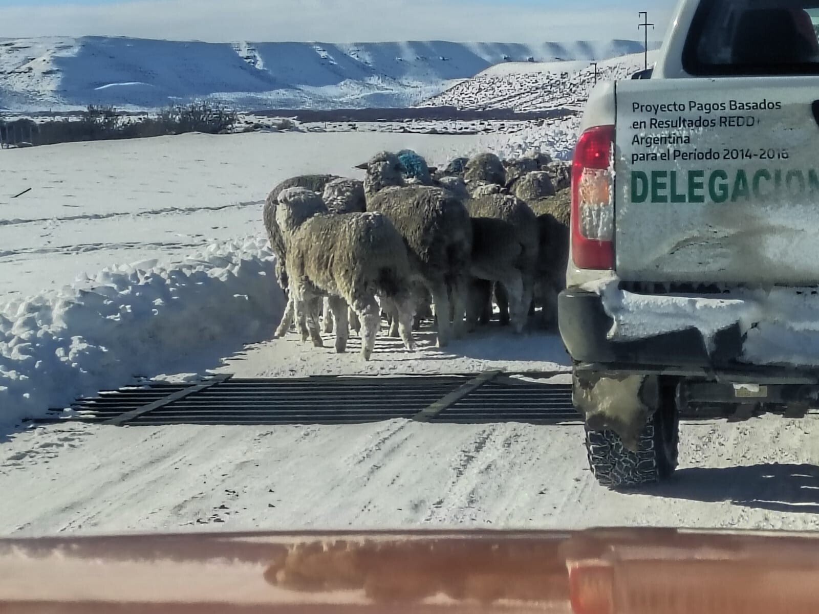 El Gobierno realiza operativo conjunto para asistir a pobladores afectados por la nieve en el sur provincial