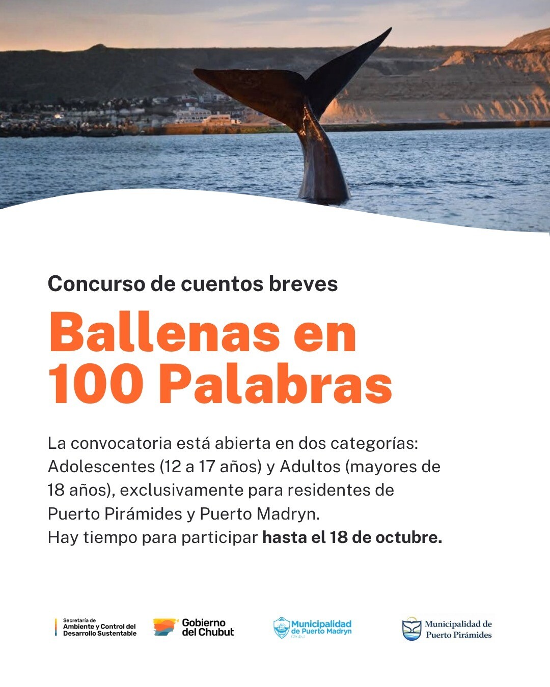 Chubut lanzó el concurso de cuentos breves “Ballenas en 100 palabras” Chubut lanzó el concurso de cuentos breves “Ballenas en 100 palabras”