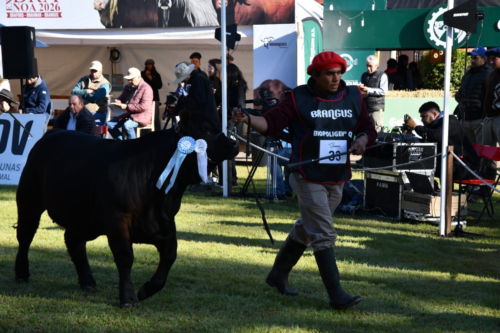 SE PUSO EN MARCHA UNA NUEVA EDICIÓN DE EXPOBRA CON MÁS DE 400 ANIMALES Y 80 CABAÑAS