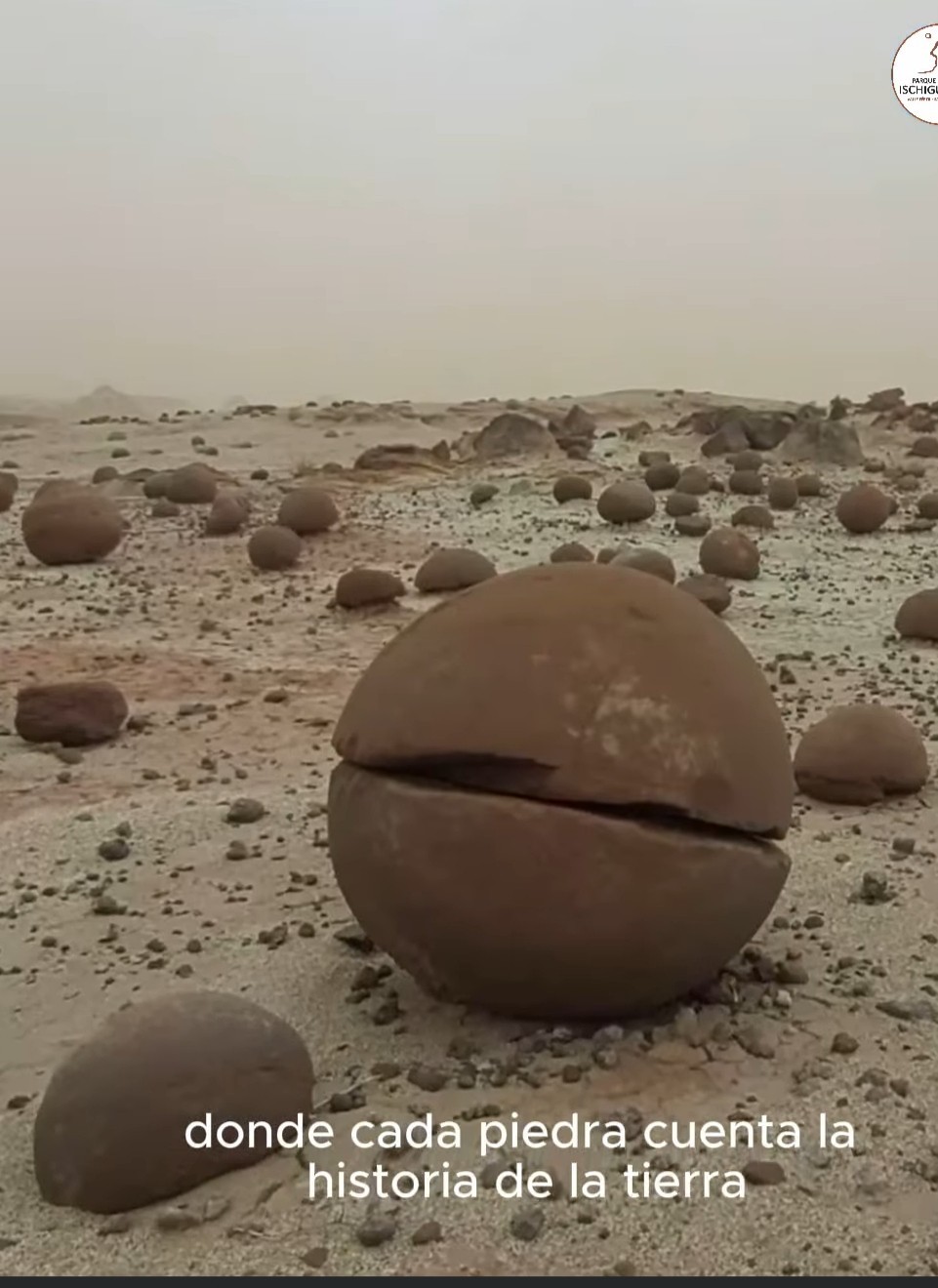 El Gobierno de San Juan busca posicionar al Parque Provincial Ischigualasto como destino turístico de clase mundial.