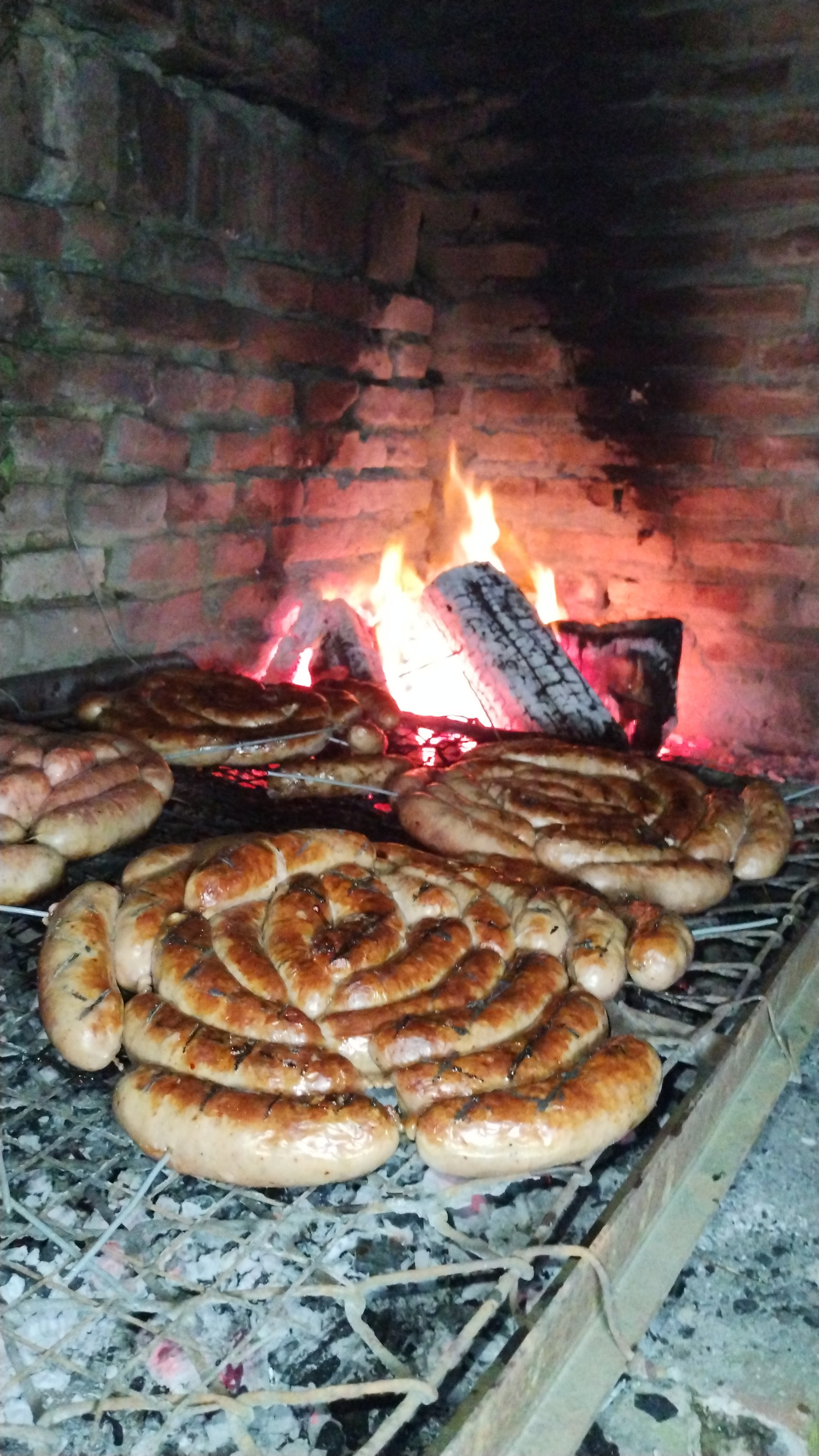 IMG_20250808_185922850.jpg IMG_20250808_185922850.jpg