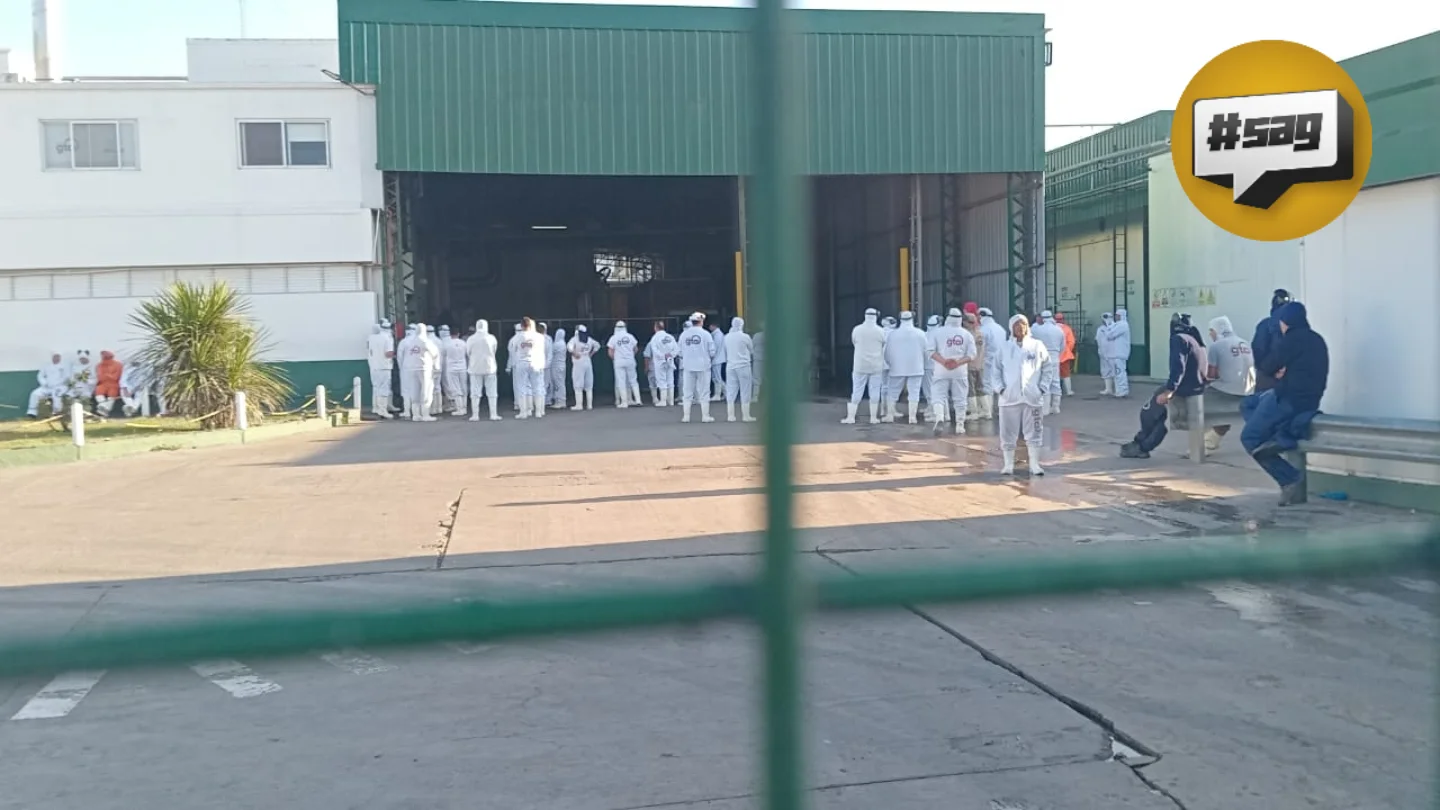 IMG_20260129_094736_512.jpg IMG_20260129_094736_512.jpg