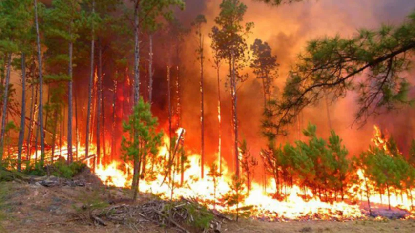 LA SEQUIA EXTREMA DE ENERO PROVOCA INCENDIOS EN CORRIENTES