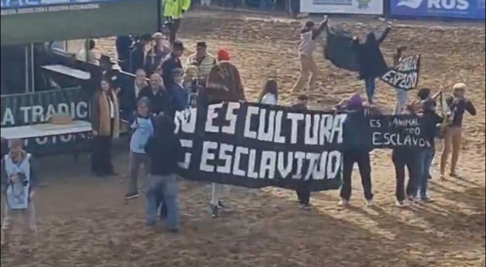 Activistas veganos protestaron en La Rural y los expulsaron en medio de silbidos del público