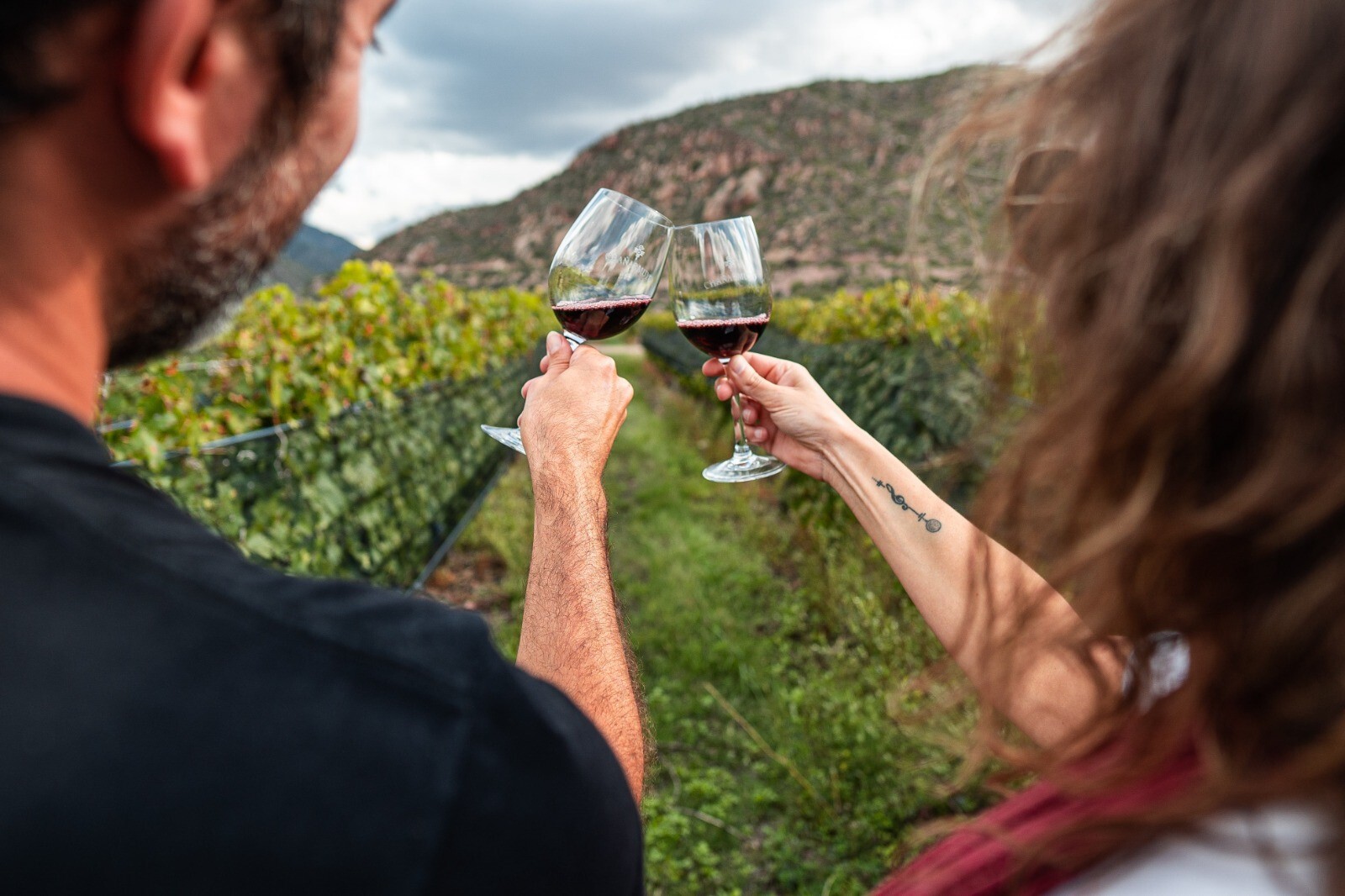 IV Jornadas Nacionales de Turismo del Vino.jpg