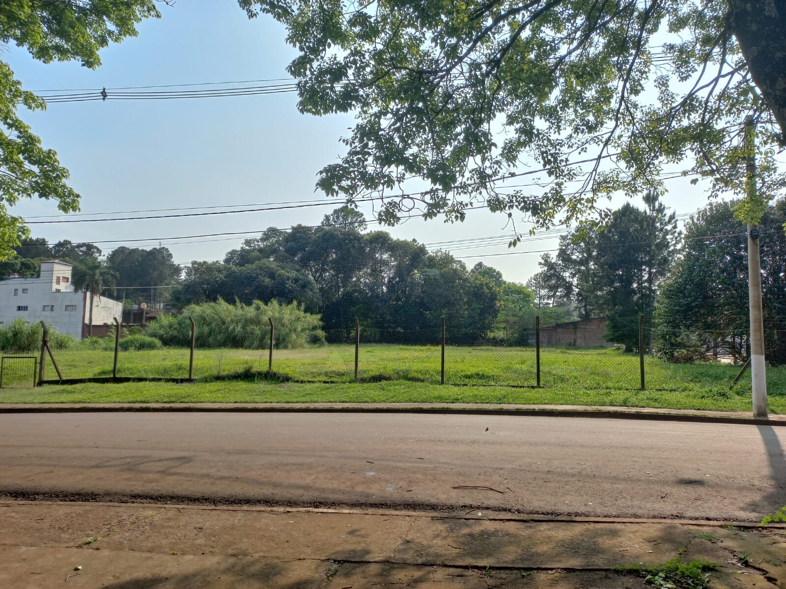 Imagen de WhatsApp 2024-12-16 a las 07.14.21_60b542df.jpg