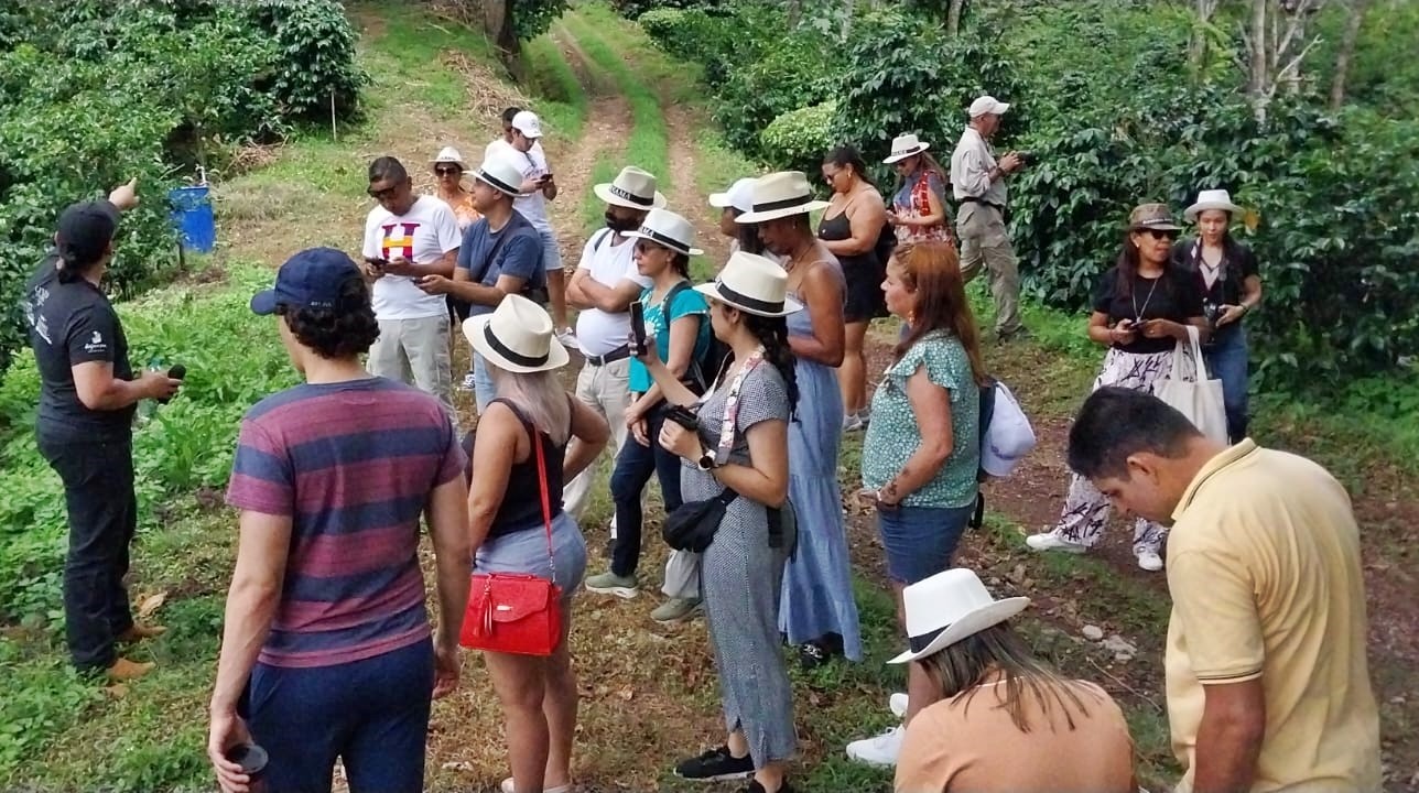 Turismo regenerativo: Oferta turística con sentido y con propósito