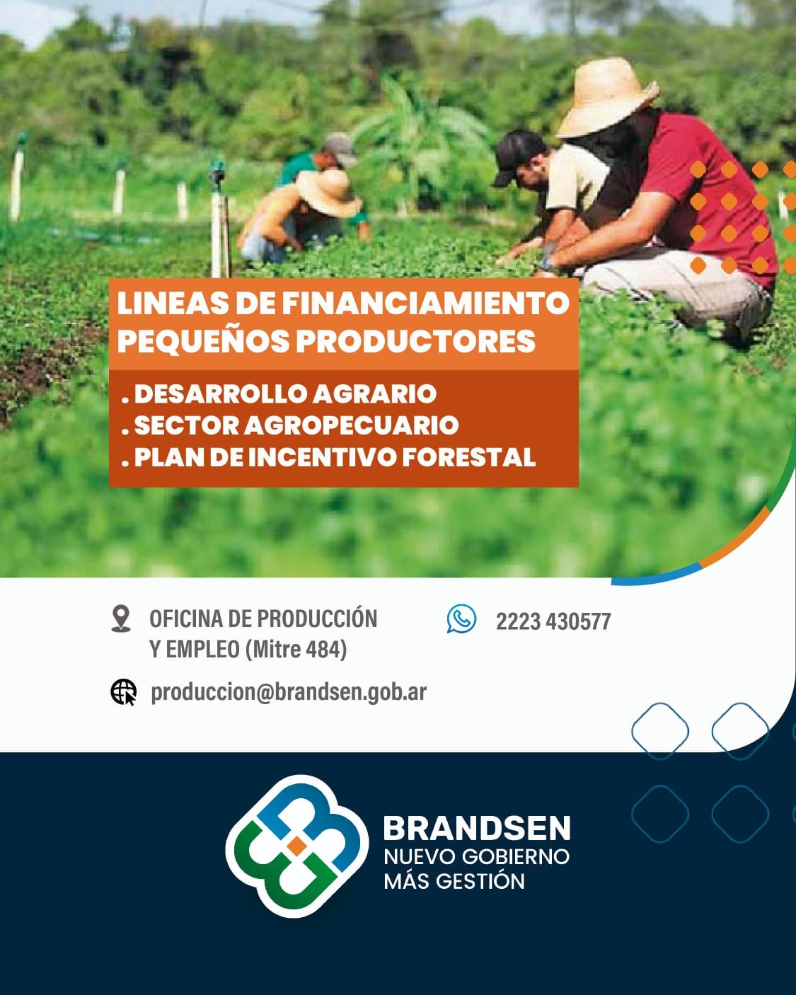 Imagen de WhatsApp 2025-07-29 a las 14.22.25_fe06a773.jpg Imagen de WhatsApp 2025-07-29 a las 14.22.25_fe06a773.jpg