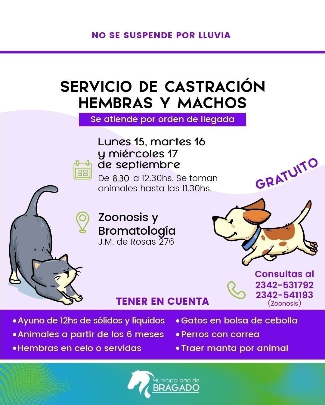 Bragado lanza nueva campaña de castración gratuita para mascotas