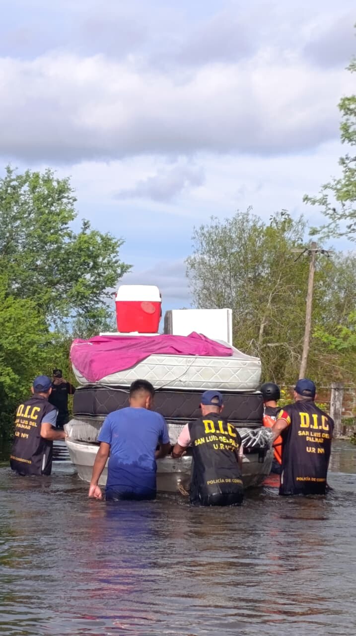 Imagen de WhatsApp 2025-12-26 a las 20.53.25_0bc78a93.jpg