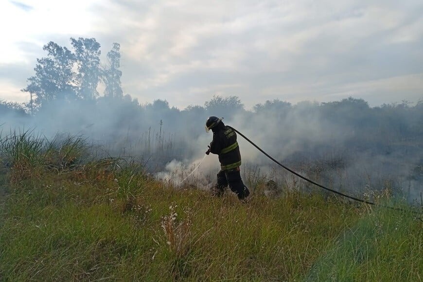 Incendios-SF-03.jpeg Incendios-SF-03.jpeg