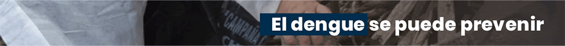 JUJUY-WEB-DENGUE