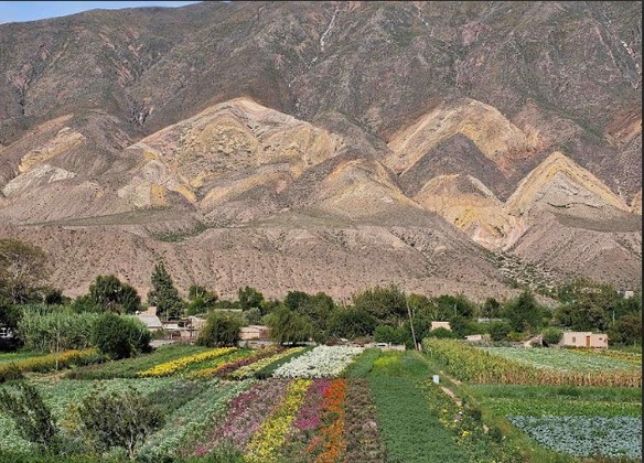 Jujuy - Maimará 5.jpg Jujuy - Maimará 5.jpg