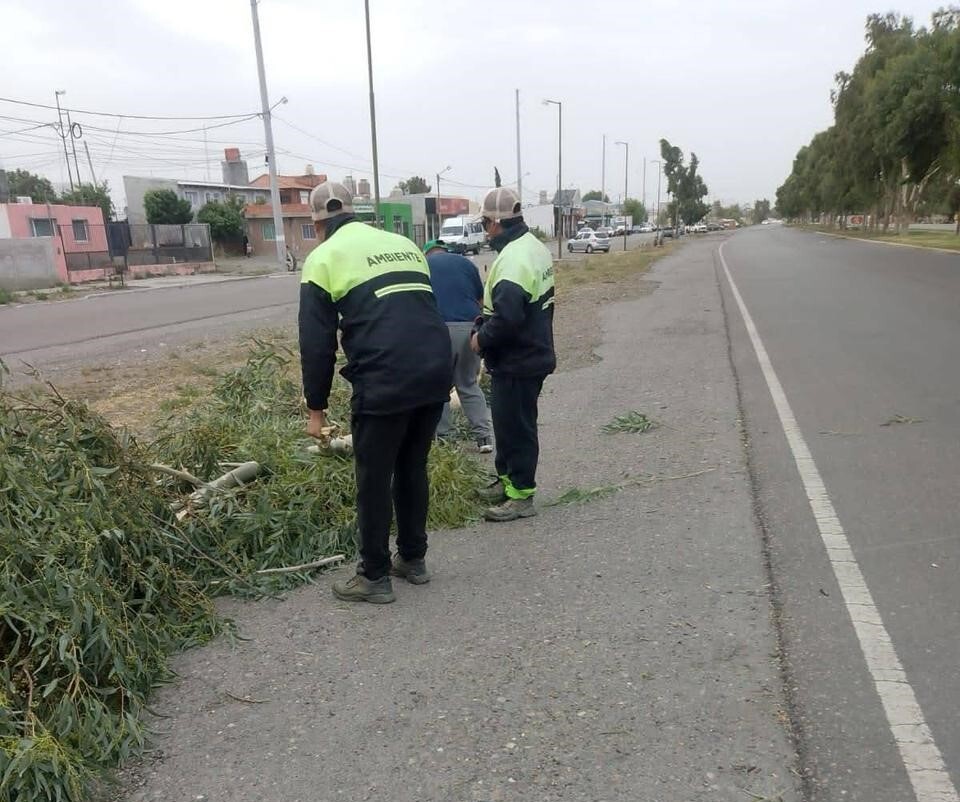 La Municipalidad de Rawson refuerza trabajos por el temporal de viento