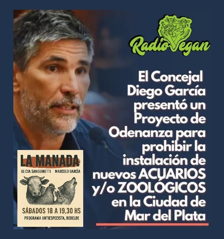 Entrevista al concejal Diego García – La Manada (27-09-2025) Entrevista al concejal Diego García – La Manada (27-09-2025)