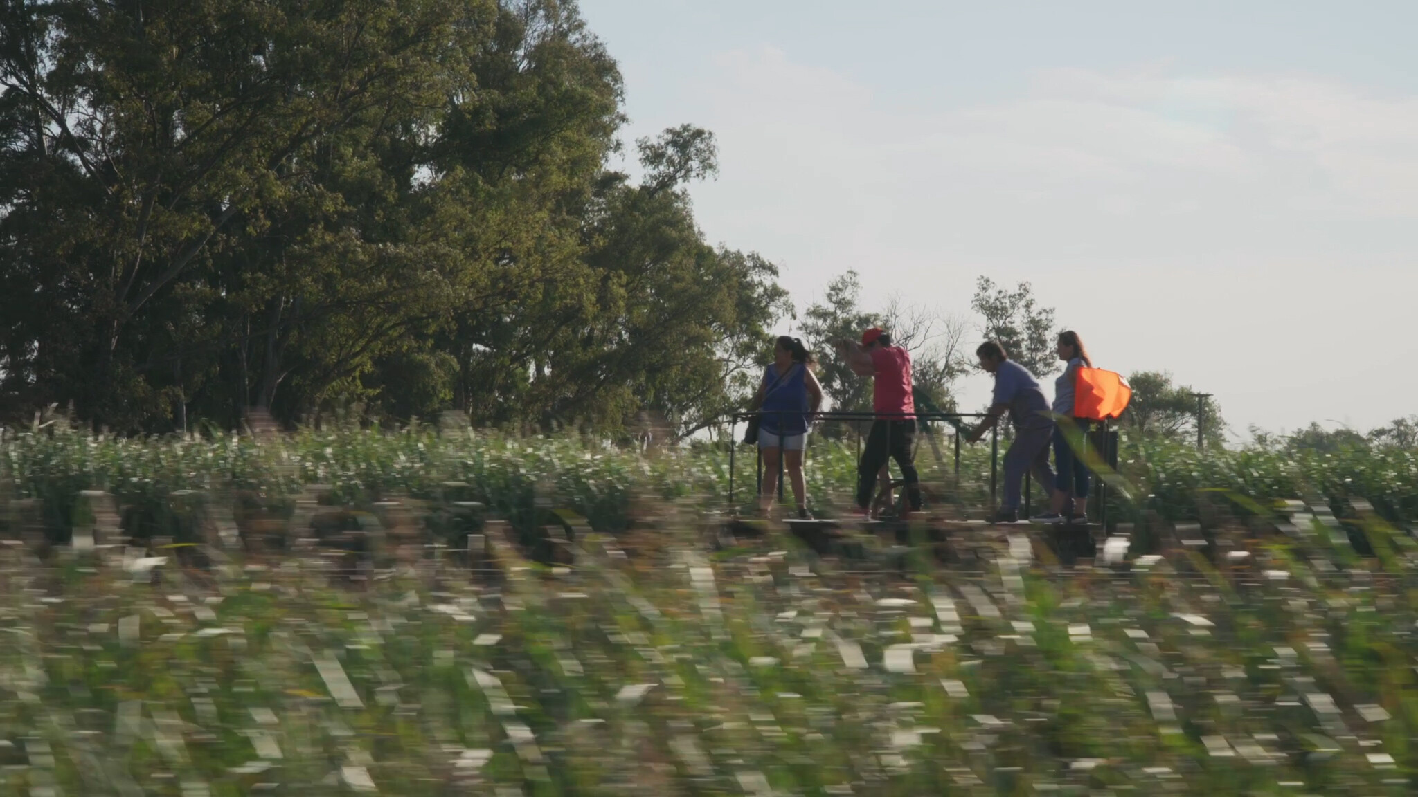 La-zorra-y-la-pampa-2.jpg LOS VIERNES DE NOVIEMBRE Como parte de la Muestra Pulsar 2024, el Cine América presentará un ciclo de cine santafesino