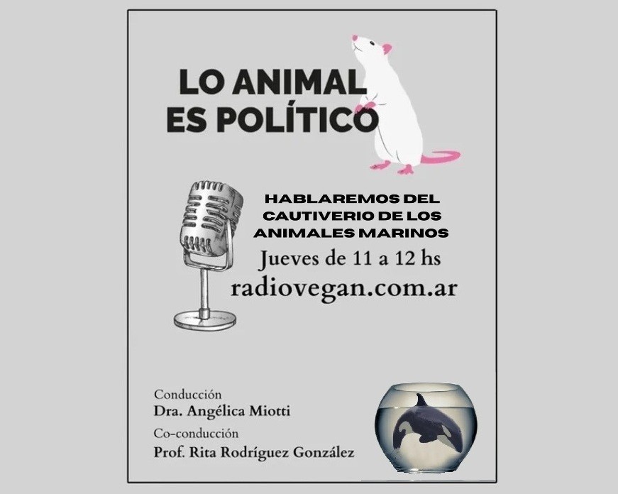 Lo Animal es Político (28-08-2025) – Cautiverio de animales marinos Lo Animal es Político (28-08-2025) – Cautiverio de animales marinos
