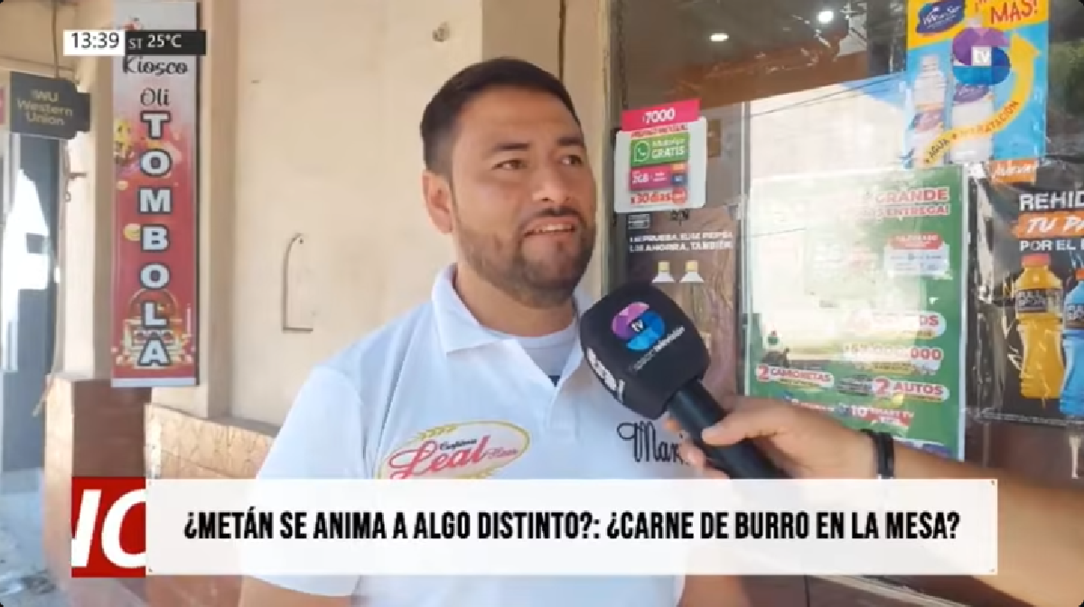 METANENSE.png METANENSE.png