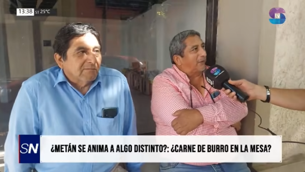 METANENSES.png METANENSES.png