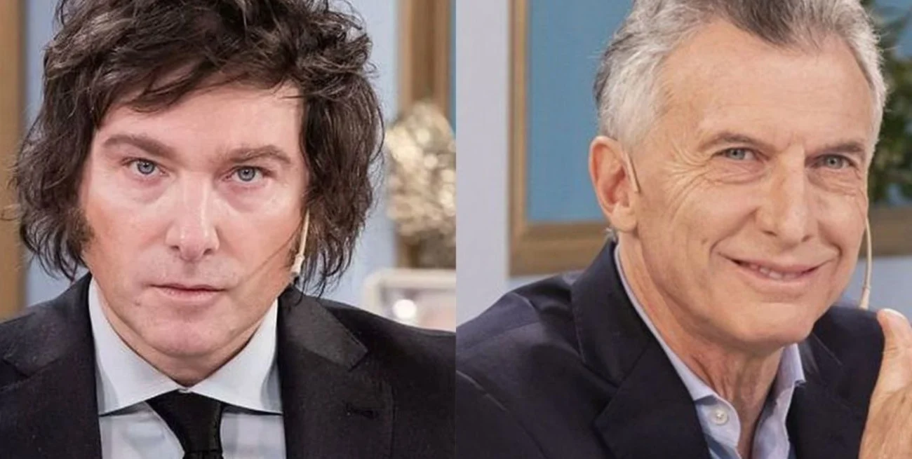 ¿ Qué Ves? GATITOS MIMOSOS