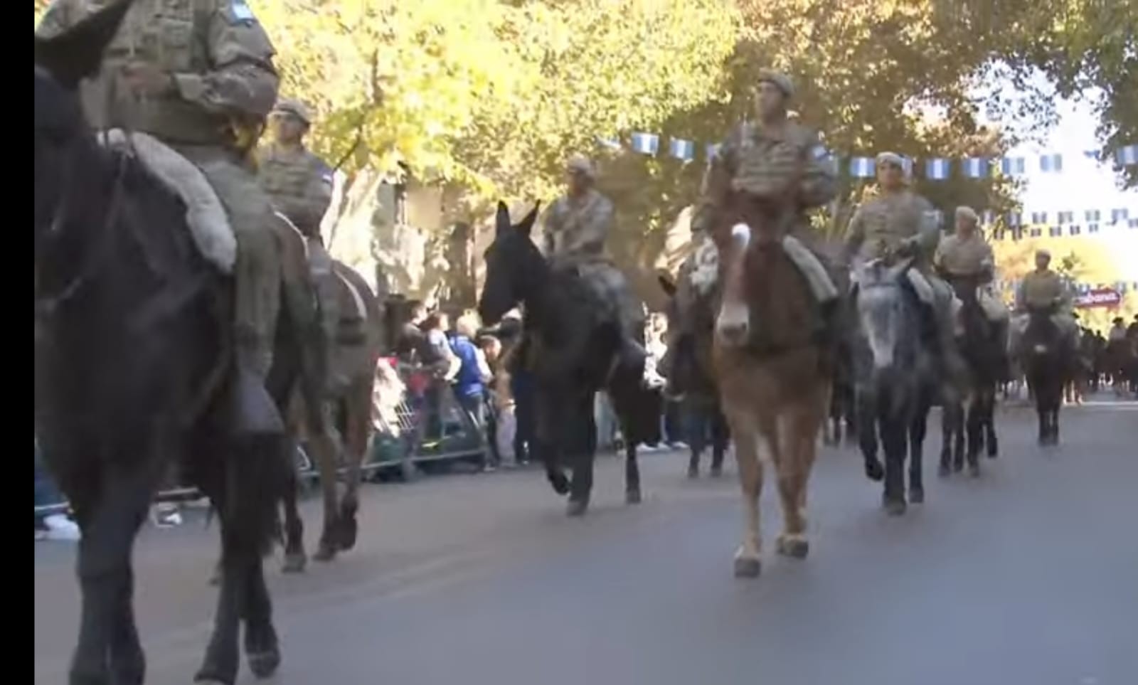 MILITARES-MONTADOS.jpeg MILITARES-MONTADOS.jpeg