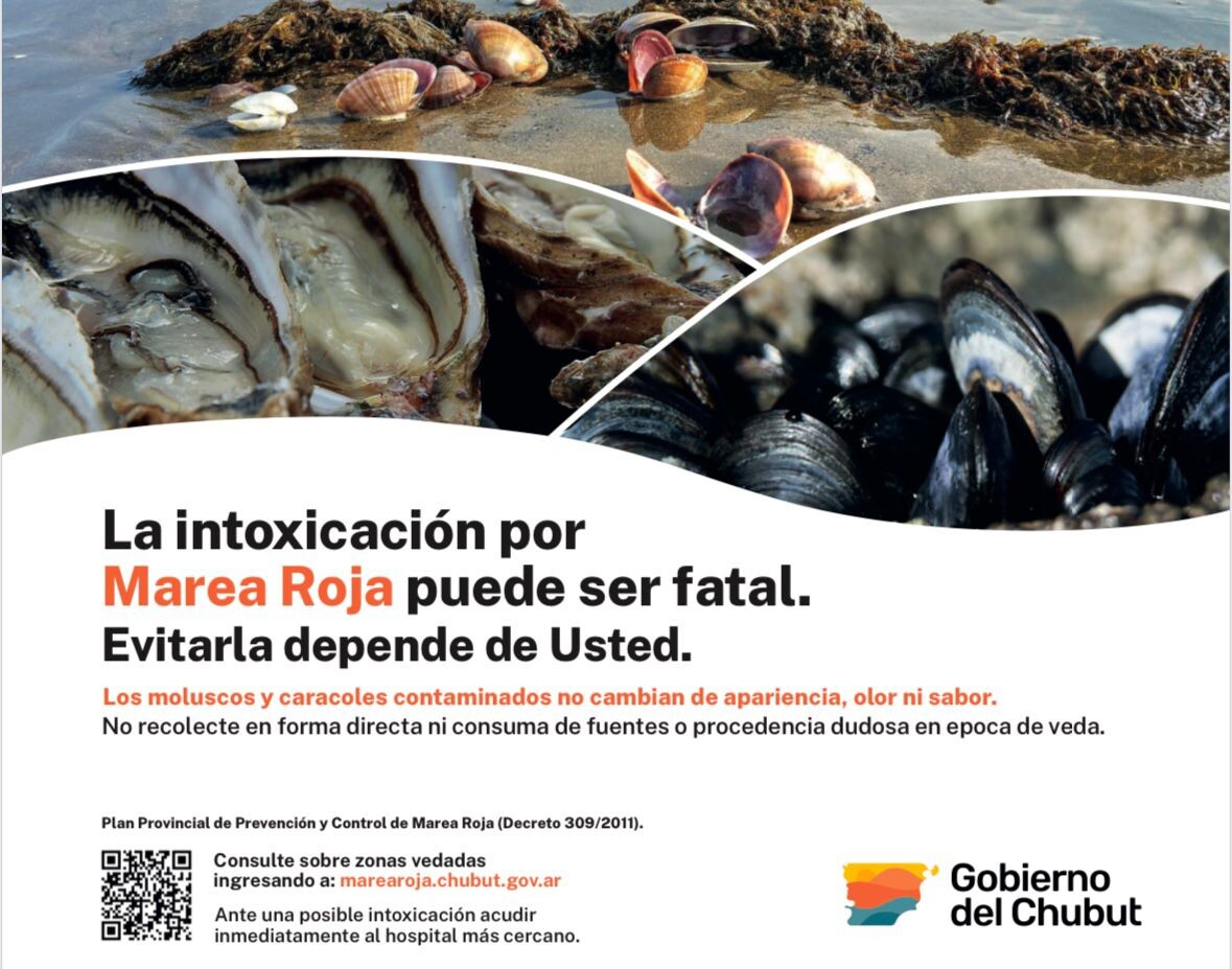 Pesca: Veda por Marea Roja en toda la zona de Rawson