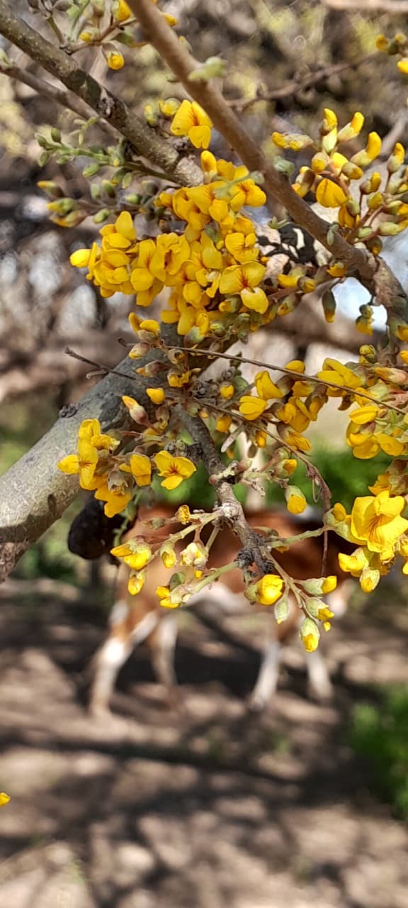 Se espera un sábado agradable