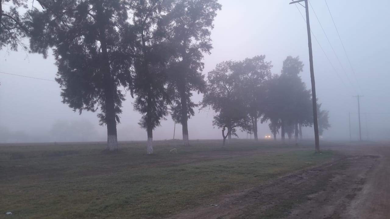 Intensa neblina por Colonia Dora