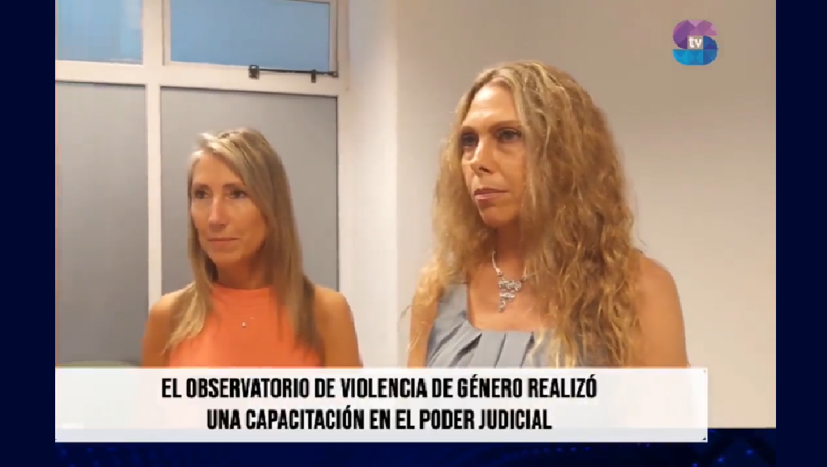 OBSERVATORIO DE VIOLENCIA DE GÉNERO.png El Observatorio ubica a Metán entre las mayores tasas de violencia de género