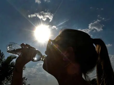 OIP (1).webp Pronostican una semana de intenso calor en Santa Fe, con viento norte y alerta por inestabilidad