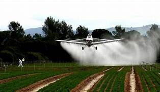 La Corte bonaerense suma al agro al debate por los fitosanitarios en Tandil y Rauch
