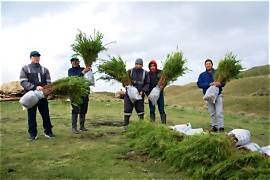 Forestación y cuidado ambiental: nueva jornada en una escuela rural tandilense