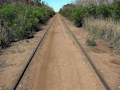 Lunghi, Barrena y Reino pidieron a Nación que el ramal Tandil–Quequén sea incluido en la nueva concesión ferroviaria