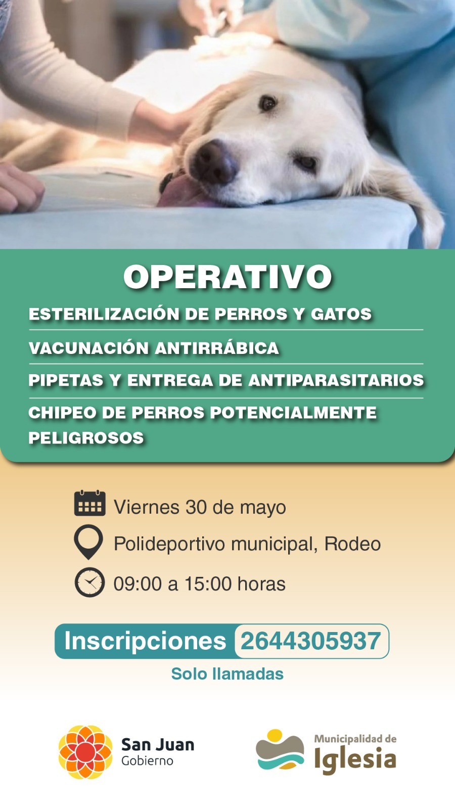 IGLESIA: Operativo integral para Mascotas el viernes 30 de Mayo