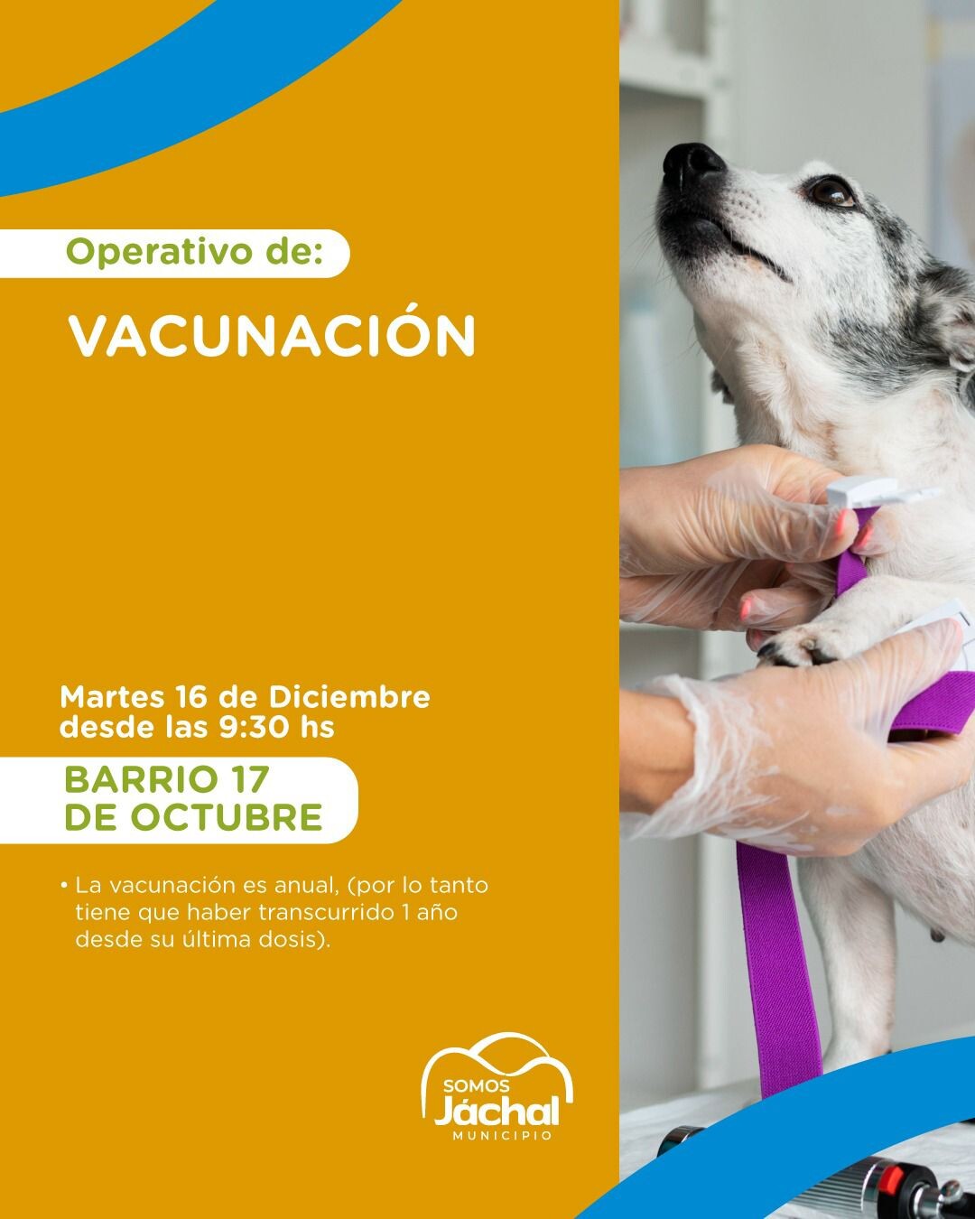 JÁCHAL: Operativo de Vacunación de mascotas en Barrio 17 de Octubre