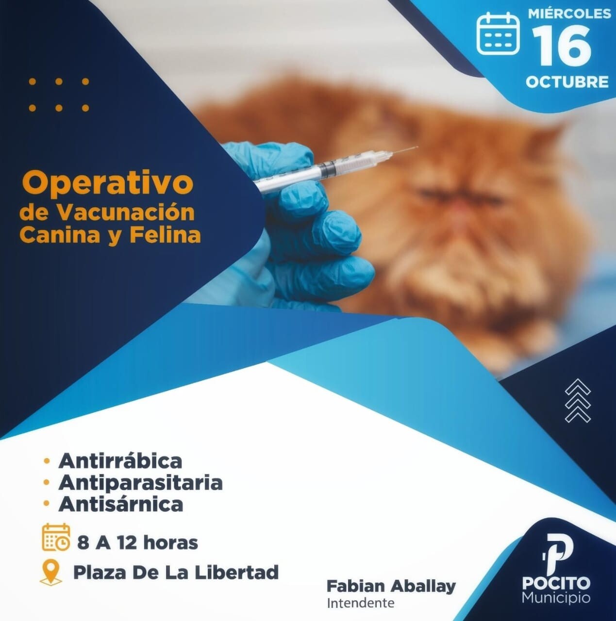 POCITO: Operativo de Vacunación Canina y Felina totalmente gratuito