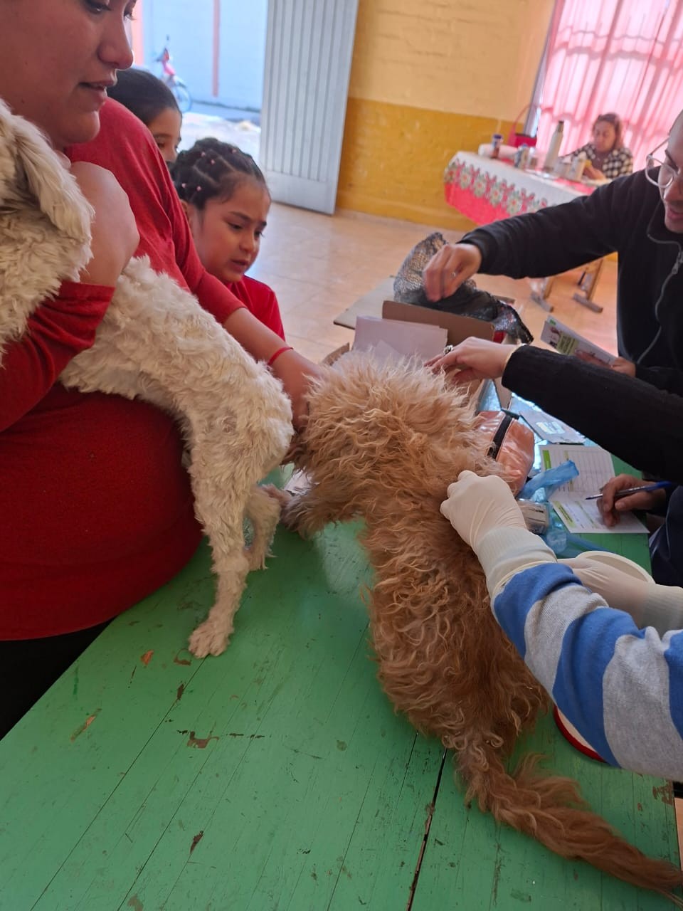 SAN MARTÍN: Operativo de Vacunación Antirrábica y Peluquería Sanitaria