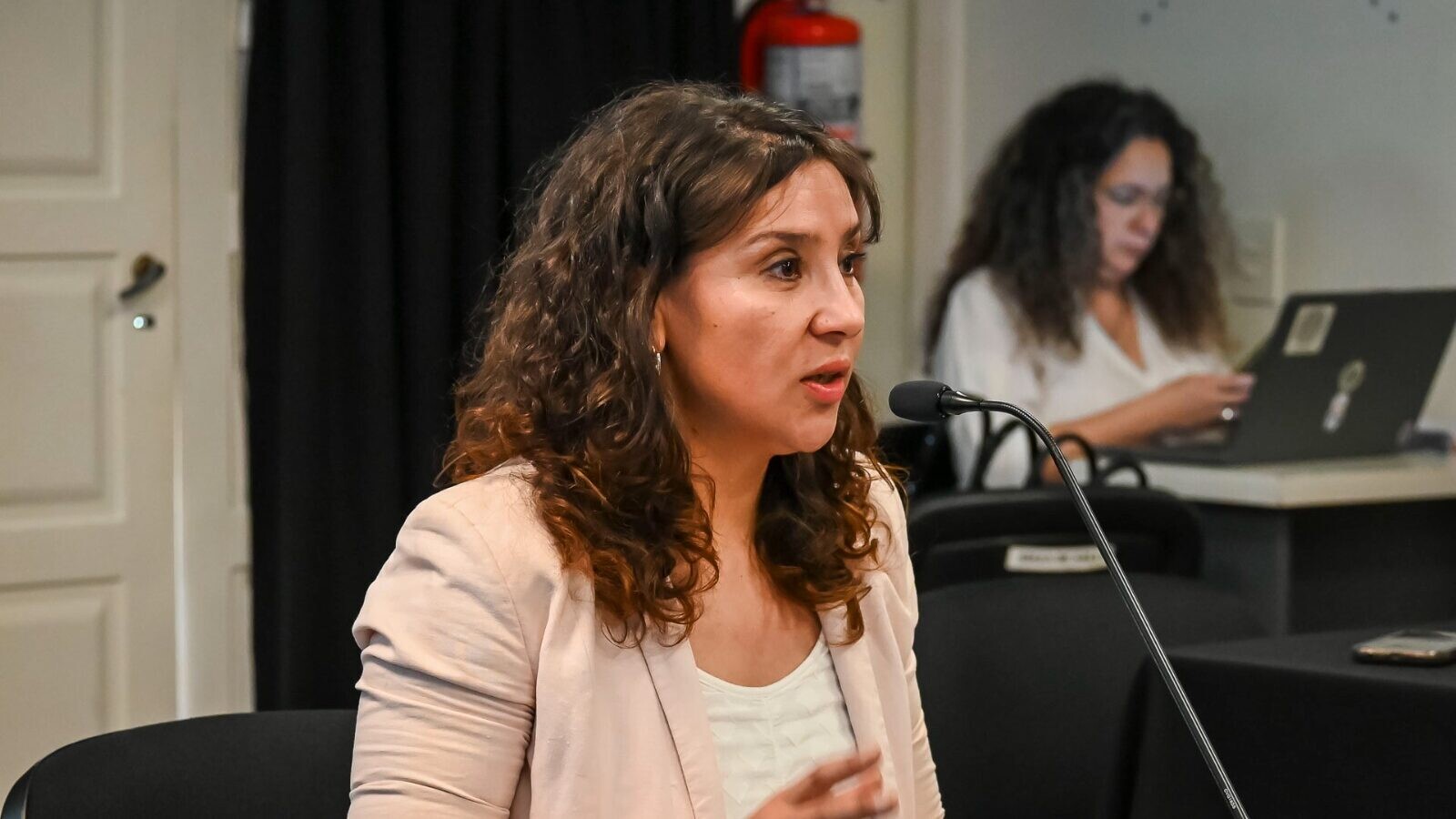La Provincia echó de la administración pública a la ex ministra de Arcioni, Cecilia Torres Otarola, condenada por corrupción