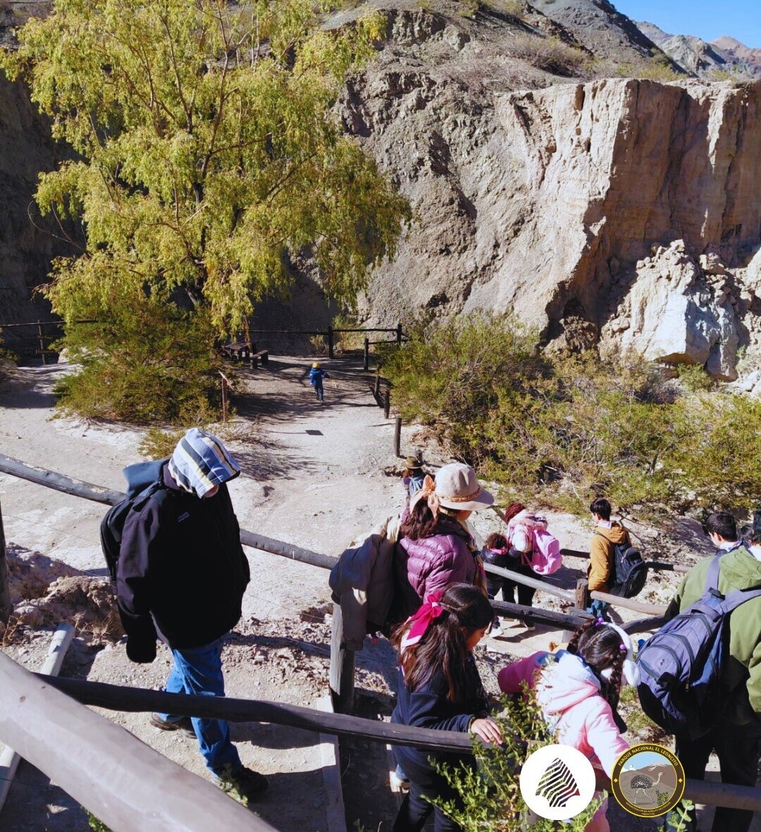 P7.jpg