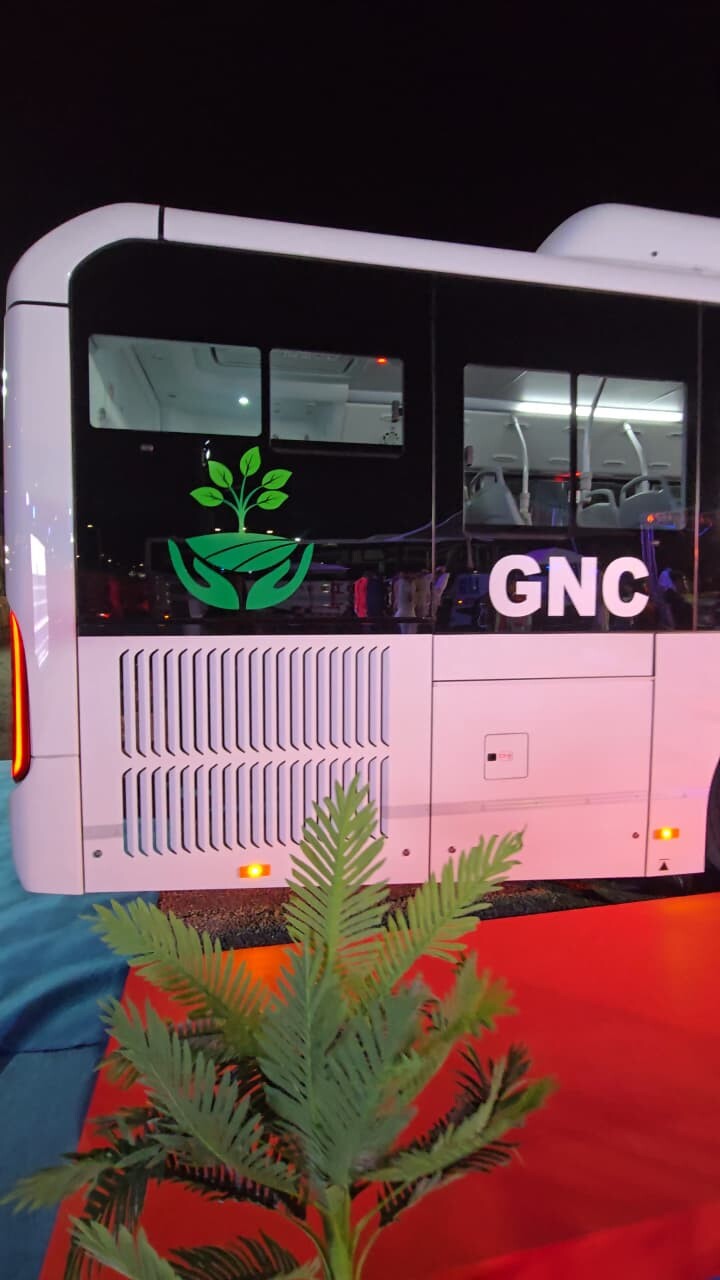 PALMA-LINEA-COLECTIVO-GNC-5.jpeg