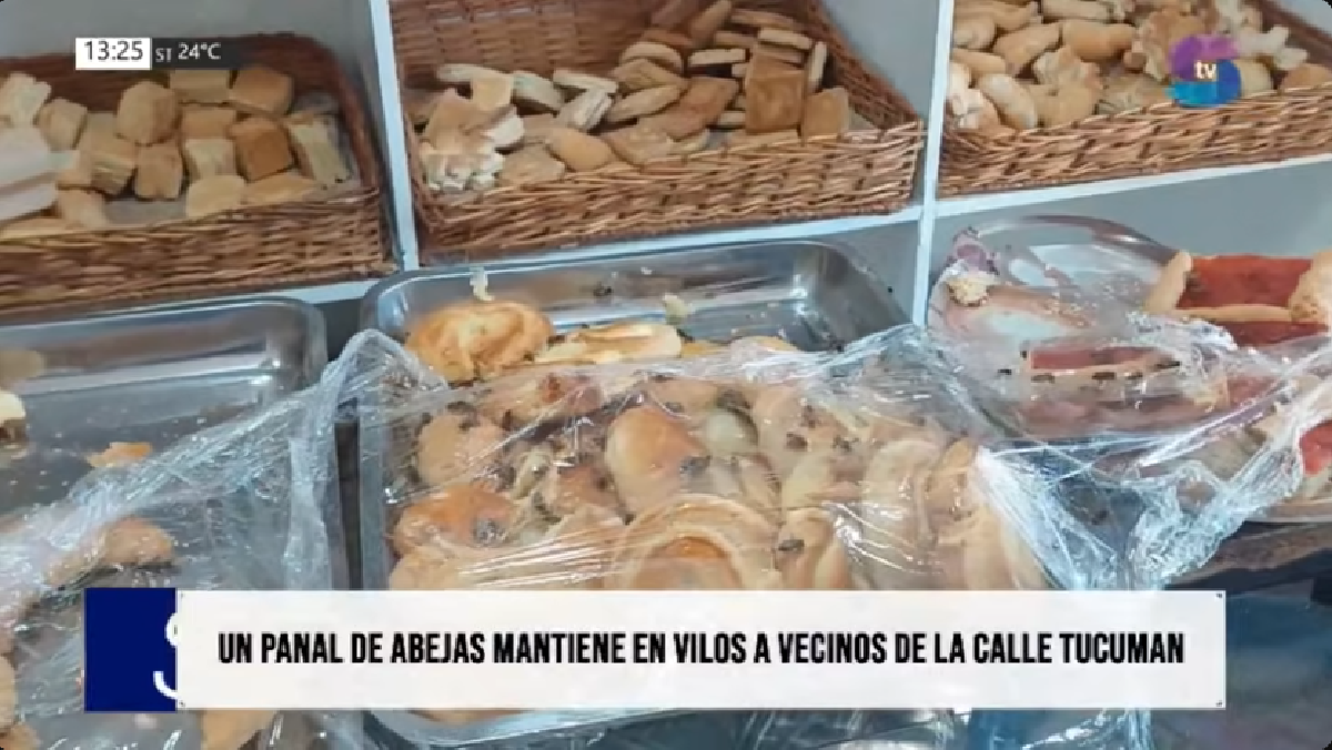 PANADERIA.png PANADERIA.png