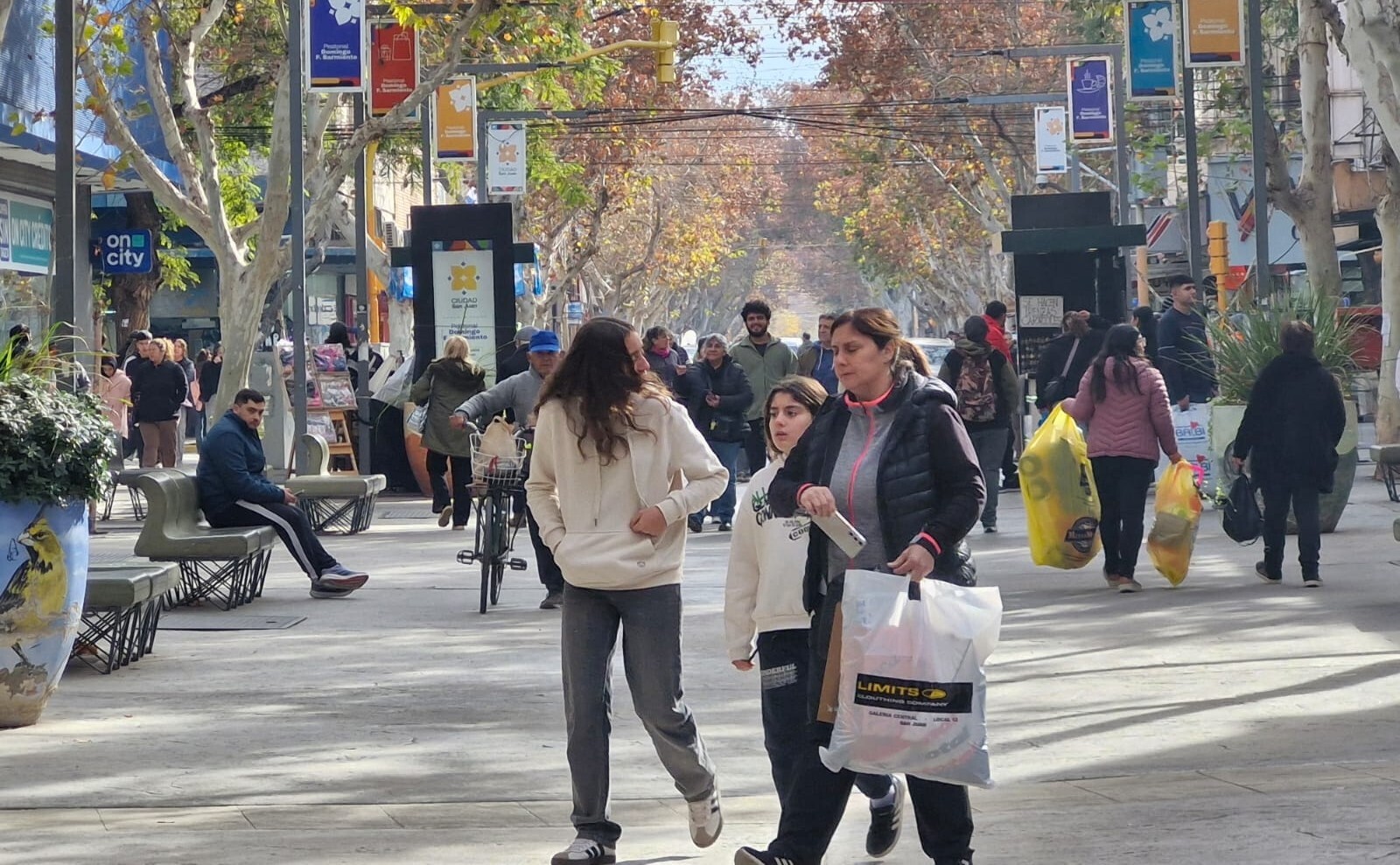 PEATONAL-COMERCIO-PUBLICO.jpeg Día del Empleado de Comercio: el lunes 28 no habrá actividad comercial en San Juan