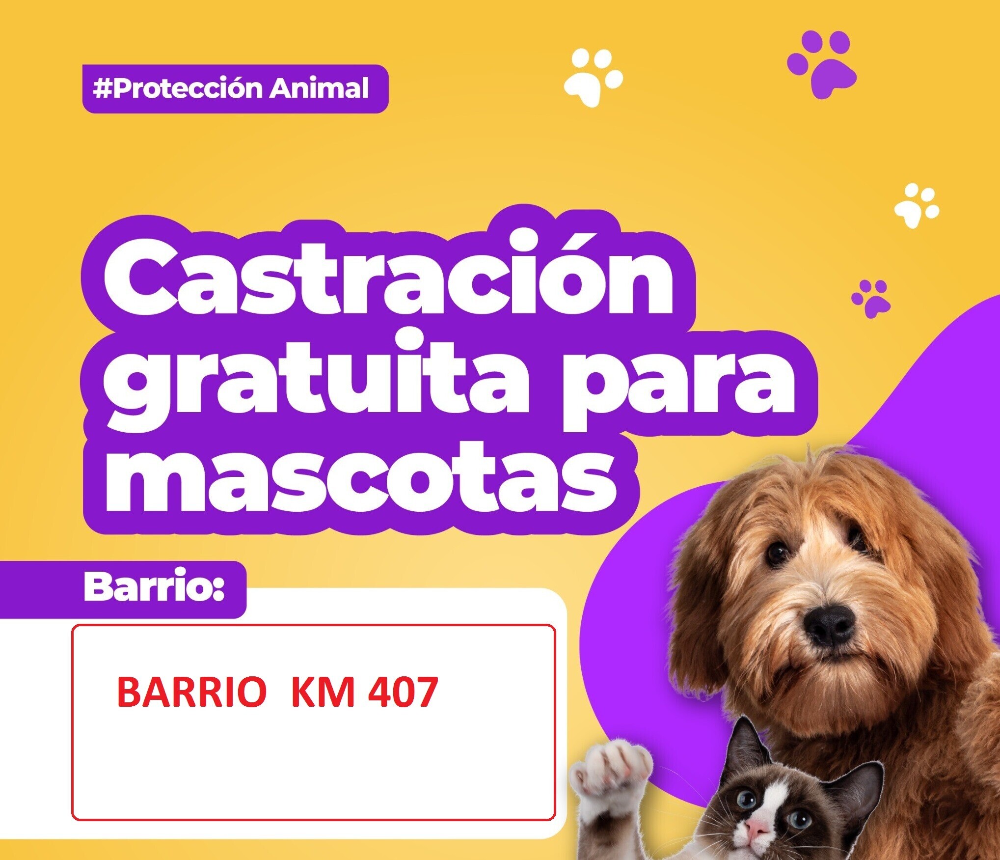 PERRO CASTRACIONES.jpeg PERRO CASTRACIONES.jpeg